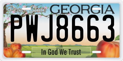 GA license plate PWJ8663