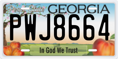 GA license plate PWJ8664