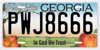 GA license plate PWJ8666