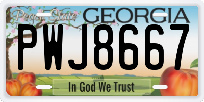 GA license plate PWJ8667