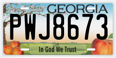 GA license plate PWJ8673