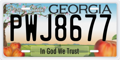 GA license plate PWJ8677