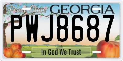 GA license plate PWJ8687