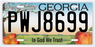 GA license plate PWJ8699