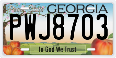 GA license plate PWJ8703