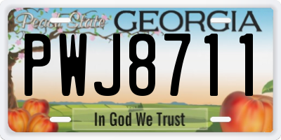 GA license plate PWJ8711
