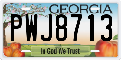 GA license plate PWJ8713