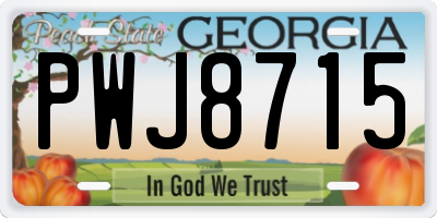 GA license plate PWJ8715