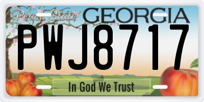 GA license plate PWJ8717