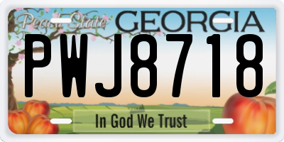 GA license plate PWJ8718
