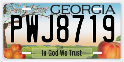 GA license plate PWJ8719