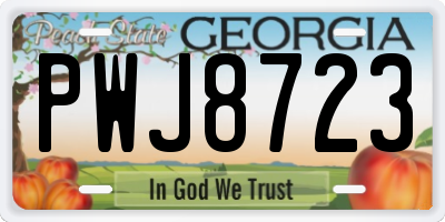 GA license plate PWJ8723