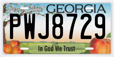 GA license plate PWJ8729