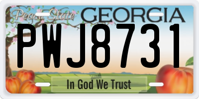 GA license plate PWJ8731