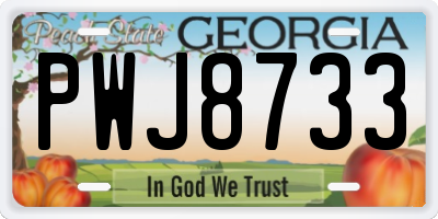 GA license plate PWJ8733