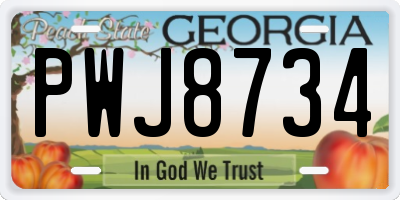 GA license plate PWJ8734