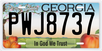 GA license plate PWJ8737