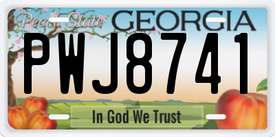 GA license plate PWJ8741
