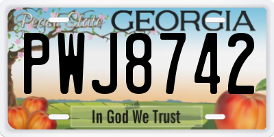 GA license plate PWJ8742