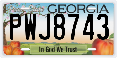 GA license plate PWJ8743