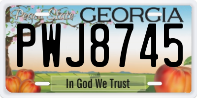 GA license plate PWJ8745