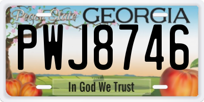 GA license plate PWJ8746