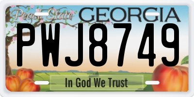 GA license plate PWJ8749