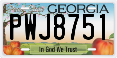 GA license plate PWJ8751