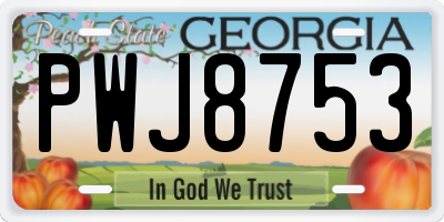 GA license plate PWJ8753