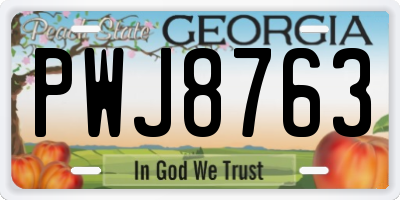 GA license plate PWJ8763