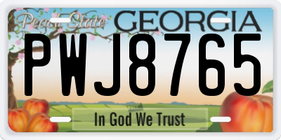 GA license plate PWJ8765