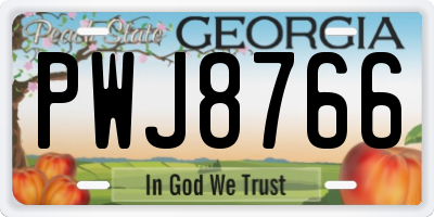 GA license plate PWJ8766