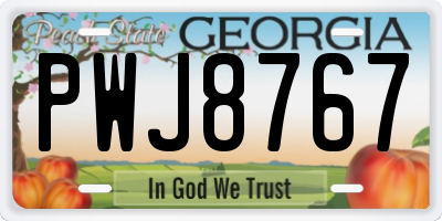 GA license plate PWJ8767