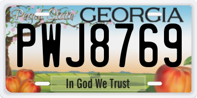 GA license plate PWJ8769