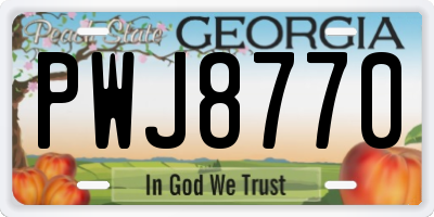 GA license plate PWJ8770