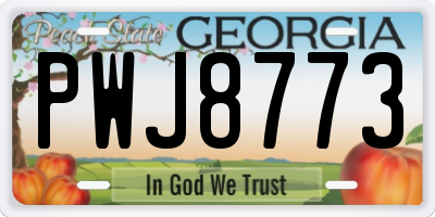 GA license plate PWJ8773