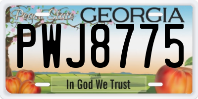 GA license plate PWJ8775
