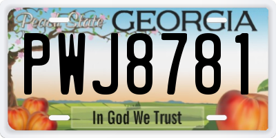 GA license plate PWJ8781