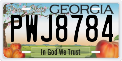 GA license plate PWJ8784