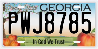 GA license plate PWJ8785