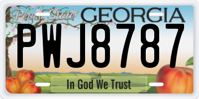 GA license plate PWJ8787