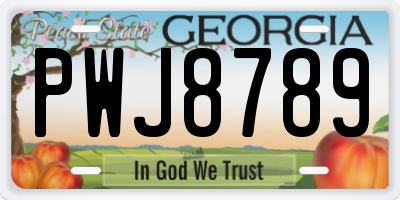 GA license plate PWJ8789