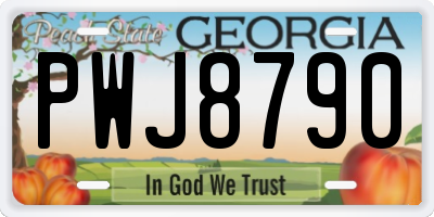 GA license plate PWJ8790