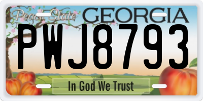GA license plate PWJ8793