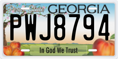 GA license plate PWJ8794