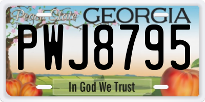 GA license plate PWJ8795