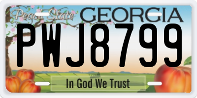 GA license plate PWJ8799
