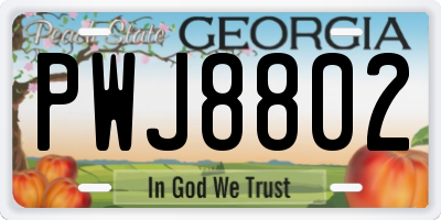 GA license plate PWJ8802