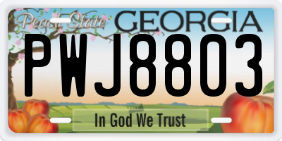 GA license plate PWJ8803