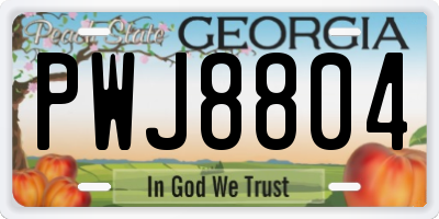 GA license plate PWJ8804
